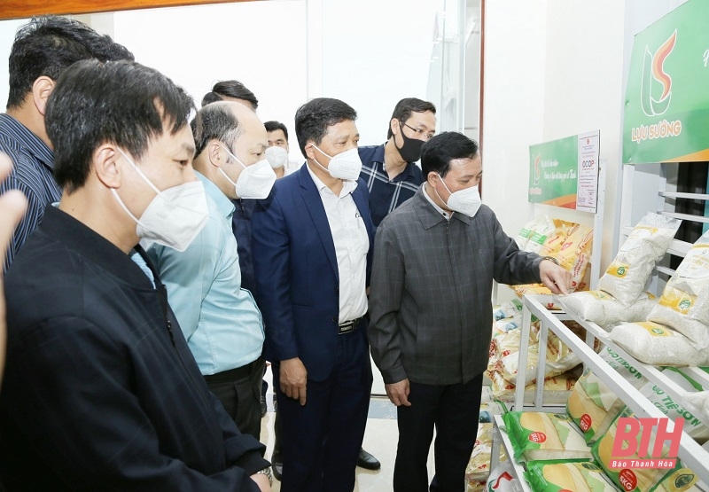 Phó Bí thư Thường trực Tỉnh ủy Lại Thế Nguyên khảo sát một số mô hình sản xuất nông nghiệp tại huyện Cẩm Thủy, Thạch Thành, Hà Trung