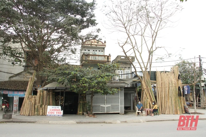 Xung quanh việc cấp giấy chứng nhận quyền sử dụng đất cho hộ gia đình bà Nguyễn Thị Chấn, phường Lam Sơn, TP Thanh Hóa