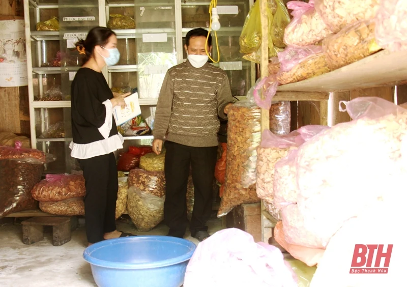 Người Dao giữ gìn vốn quý nam dược
