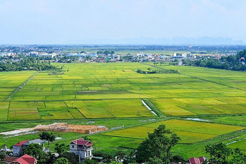 Điều kiện, thủ tục chuyển mục đích sử dụng đất lúa, đất rừng tại Thanh Hóa, Hải Phòng, Nghệ An và Cần Thơ