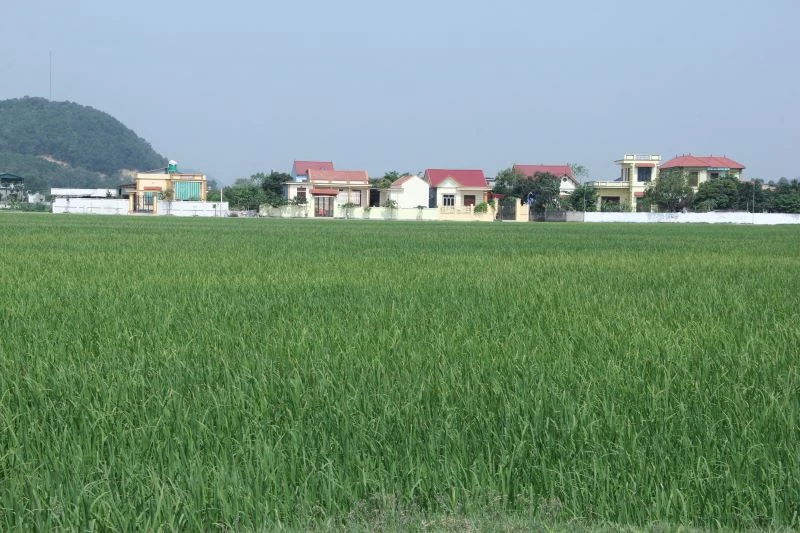 Thẩm định đạt chuẩn Nông thôn mới cho 3 xã cuối cùng của huyện Hậu Lộc