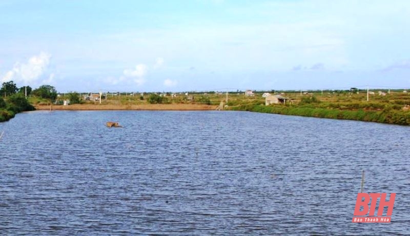 Thông báo thanh lý hợp đồng thuê đất mặt nước khai thác, nuôi trồng thủy sản vùng ven biển, huyện Nga Sơn