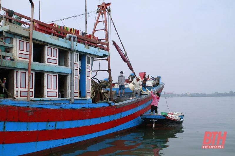 Ngư dân nỗ lực khắc phục khó khăn trong khai thác hải sản