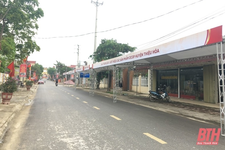 Chuẩn bị cho Lễ kỷ niệm 700 năm ngày mất nhà sử học và khánh thành Đền thờ Lê Văn Hưu