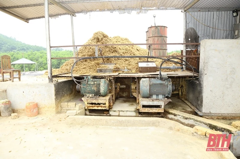 Dừng ngay hoạt động sản xuất của Công ty TNHH Khánh Nam