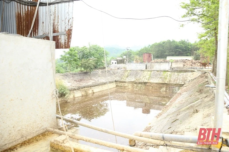 Dừng ngay hoạt động sản xuất của Công ty TNHH Khánh Nam