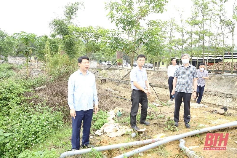 Dừng ngay hoạt động sản xuất của Công ty TNHH Khánh Nam
