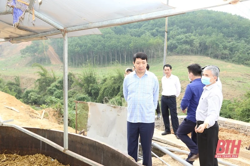 Dừng ngay hoạt động sản xuất của Công ty TNHH Khánh Nam