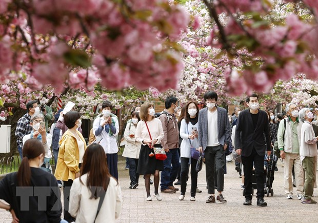 Du lịch nội địa Nhật Bản dự kiến tăng mạnh trong Tuần lễ Vàng