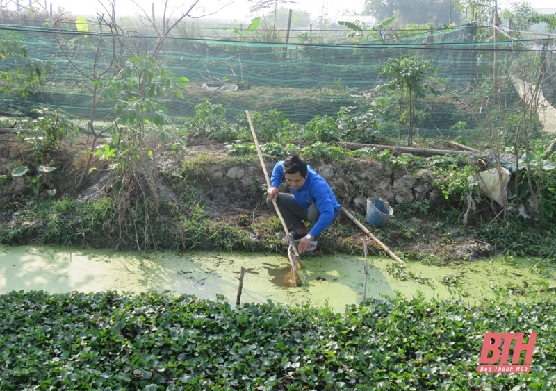 Huyện đoàn Nông Cống đồng hành cùng thanh niên lập thân, lập nghiệp