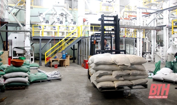 Phát triển bền vững các sản phẩm nông nghiệp chủ lực