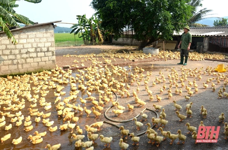 Đồng Lộc - từ xã Anh hùng Lực lượng vũ trang Nhân dân đến xã nông thôn mới