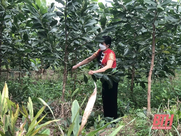 “Dân vận khéo” trong xây dựng nông thôn mới ở xã Triệu Thành