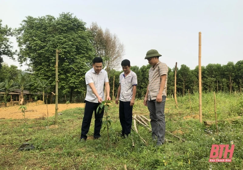 Bố trí người đứng đầu cấp ủy không phải là người địa phương: Những vấn đề đặt ra