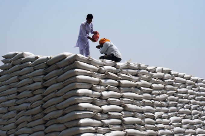 Ấn Độ cấm xuất khẩu lúa mì