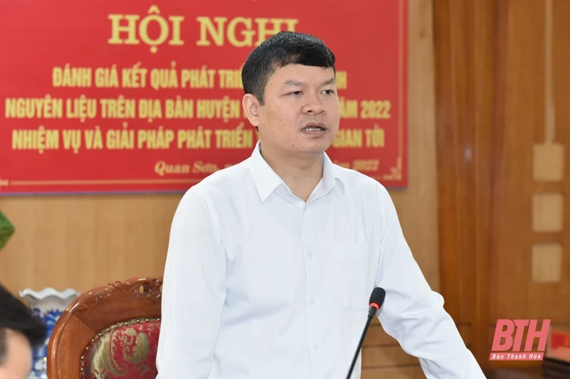 Phát triển cây gai xanh trên địa bàn huyện Quan Sơn