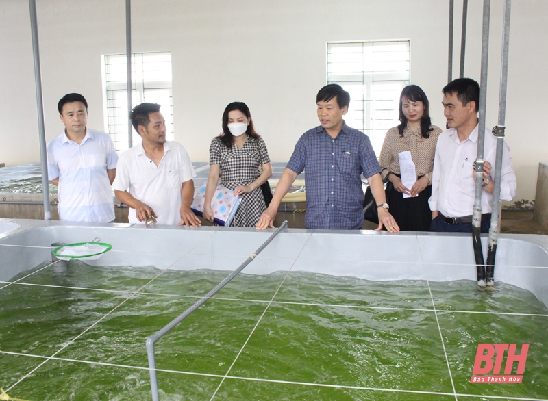 Đội ngũ trí thức - nhân tố nòng cốt thúc đẩy phát triển khoa học- công nghệ và đổi mới sáng tạo phục vụ phát triển kinh tế - xã hội tỉnh Thanh Hóa