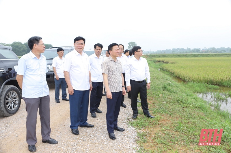 Bí thư Tỉnh ủy Đỗ Trọng Hưng thăm và làm việc tại huyện Nông Cống