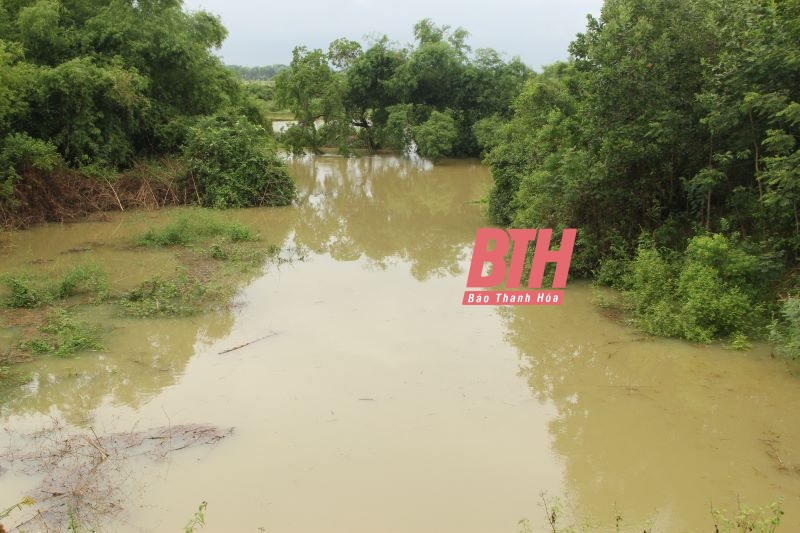 Phó Chủ tịch UBND tỉnh Lê Đức Giang kiểm tra thiệt hại do mưa lớn tại huyện Thọ Xuân