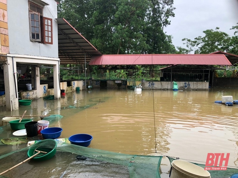 Huyện Thiệu Hóa: Chủ động khắc phục hậu quả sau mưa lớn