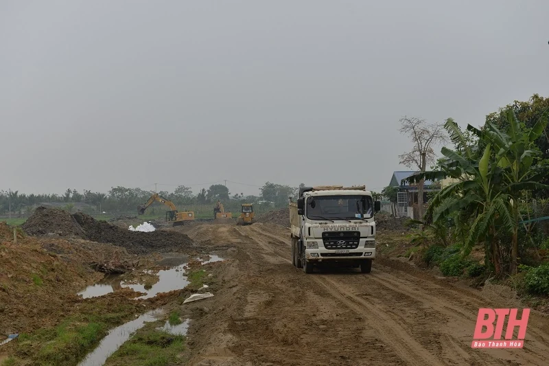 Đẩy nhanh tiến độ thực hiện Dự án tuyến đường bộ ven biển, đoạn Nga Sơn - Hoằng Hóa