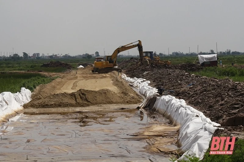 Đẩy nhanh tiến độ thực hiện Dự án tuyến đường bộ ven biển, đoạn Nga Sơn - Hoằng Hóa