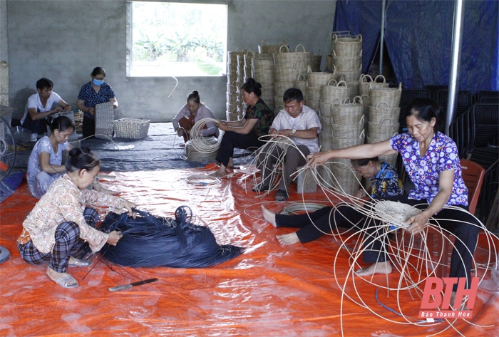 Các HTX mở rộng quy mô, phát triển đa ngành, nghề