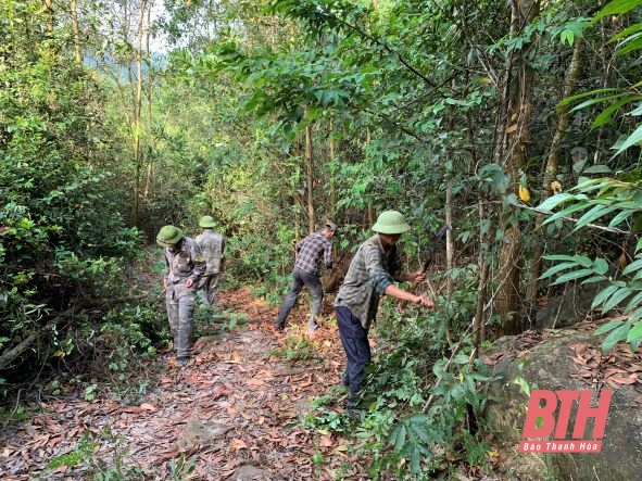 Kiểm tra công tác bảo vệ, phòng cháy, chữa cháy rừng ở BQL rừng phòng hộ Nghi Sơn