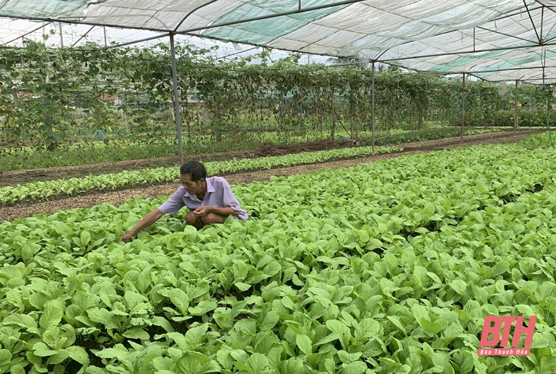 Triển khai cho vay hỗ trợ lãi suất khôi phục, phát triển sản xuất, kinh doanh