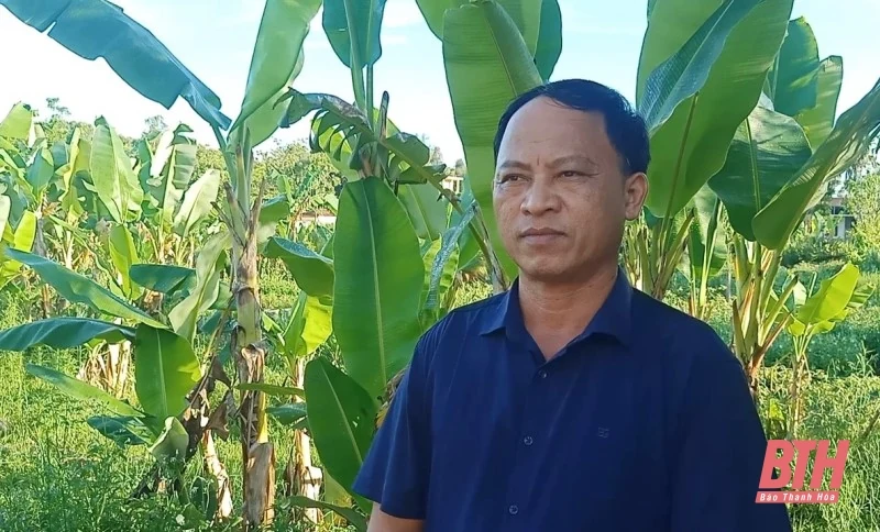 Cử tri đề nghị sớm triển khai Dự án Khu nghỉ dưỡng cao cấp Toàn Tích Thiện