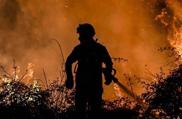 Cháy rừng “gần đây” tại châu Âu nghiêm trọng hơn cả năm 2021