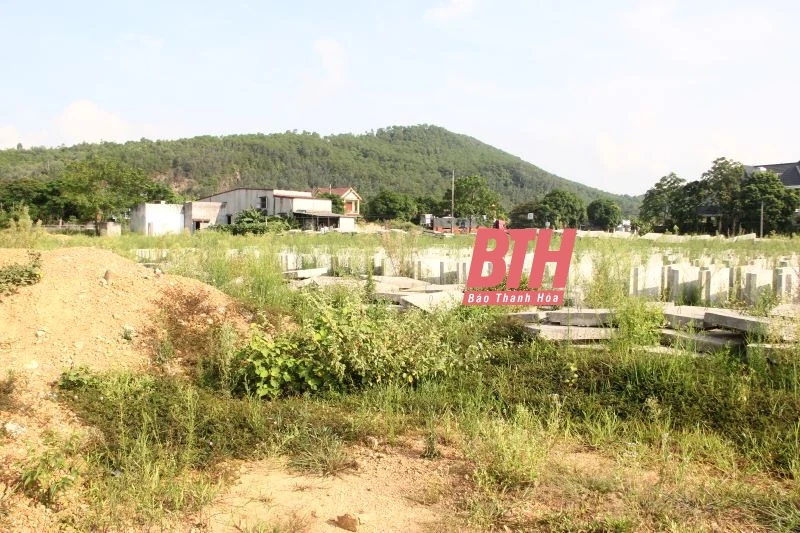 Phó Chủ tịch Thường trực UBND tỉnh Nguyễn Văn Thi chỉ đạo tháo gỡ vướng mắc giải phóng mặt bằng các dự án trọng điểm tại thị xã Nghi Sơn