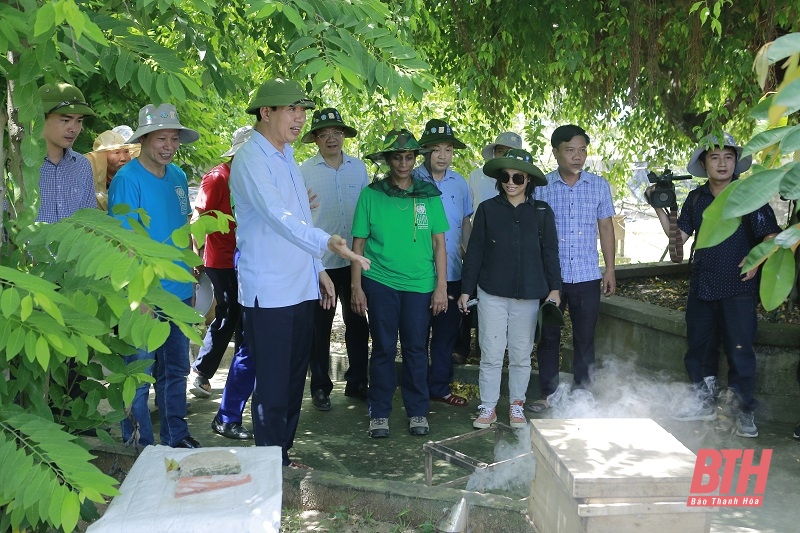 Đoàn công tác của UNDP tại Việt Nam kiểm tra các chương trình, dự án đã tài trợ tại tỉnh Thanh Hóa