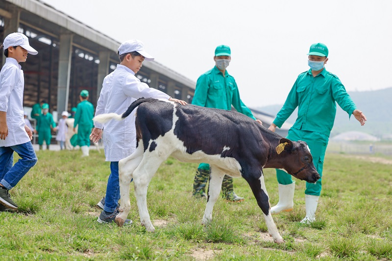 Vinamilk và Quỹ sữa Vươn cao Việt Nam tổ chức nhiều hoạt động đồng hành nhân dịp 15 thành lập