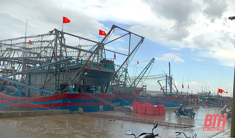 Thị xã Nghi Sơn chủ động triển khai công tác phòng, chống thiên tai