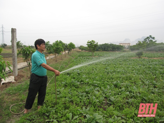 Người đưa thuốc nam trở thành sản phẩm OCOP