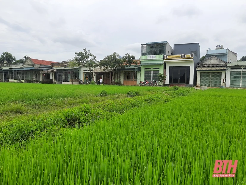 Cuộc sống mới ở xóm vạn chài Thủy Long