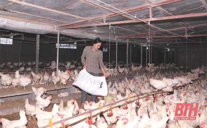 Hoạt động của trung tâm học tập cộng đồng và những mô hình trong thực tiễn