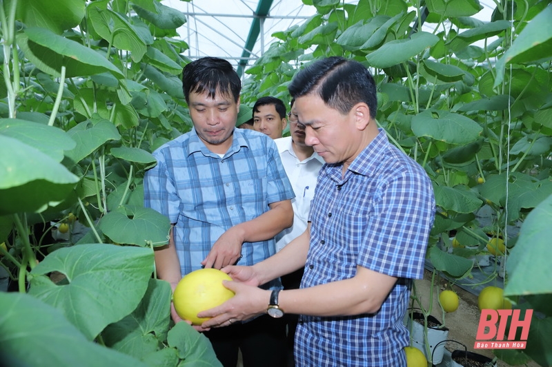 Thiệu Hóa phải phấn đấu trở thành huyện nông thôn mới nâng cao, huyện khá của tỉnh