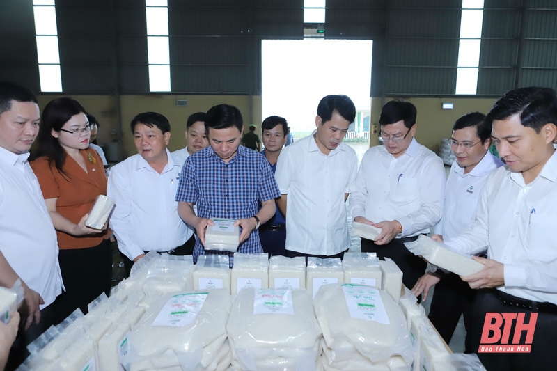 Thiệu Hóa phải phấn đấu trở thành huyện nông thôn mới nâng cao, huyện khá của tỉnh