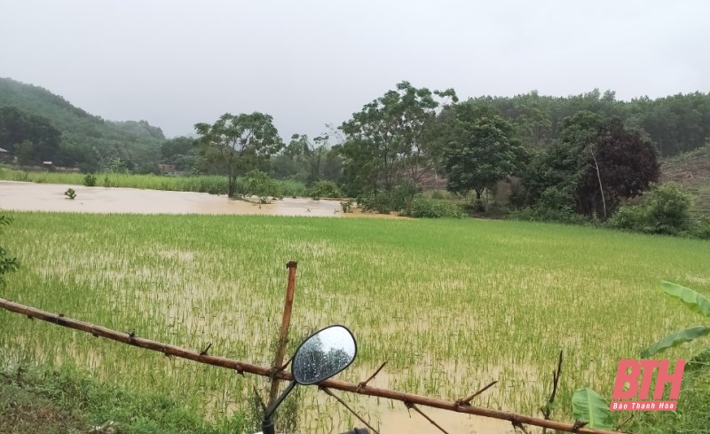 Thanh Hóa: Mưa lớn gây ngập một số diện tích nông nghiệp và công trình giao thông