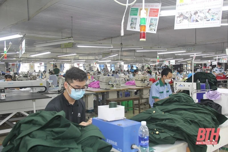 Toàn tỉnh thành lập mới 2.369 doanh nghiệp