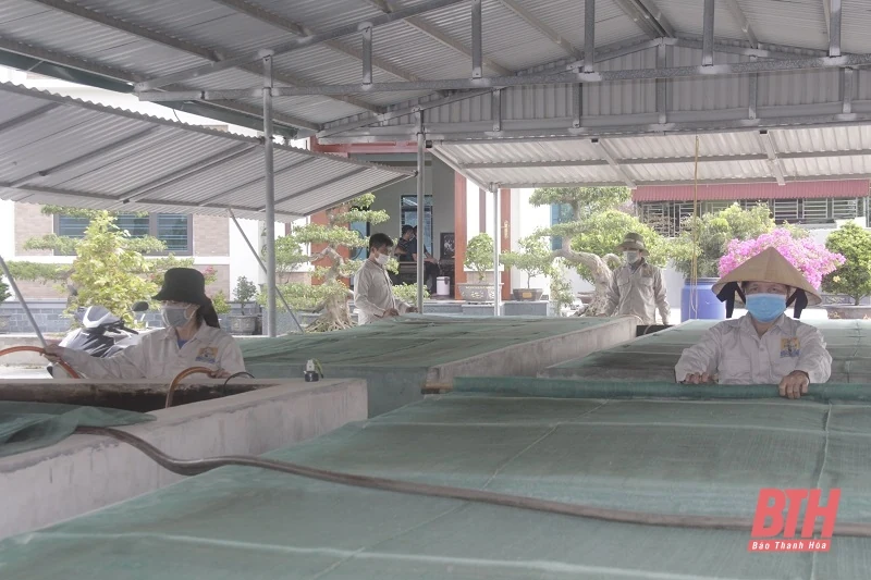 Toàn tỉnh thành lập mới 2.369 doanh nghiệp