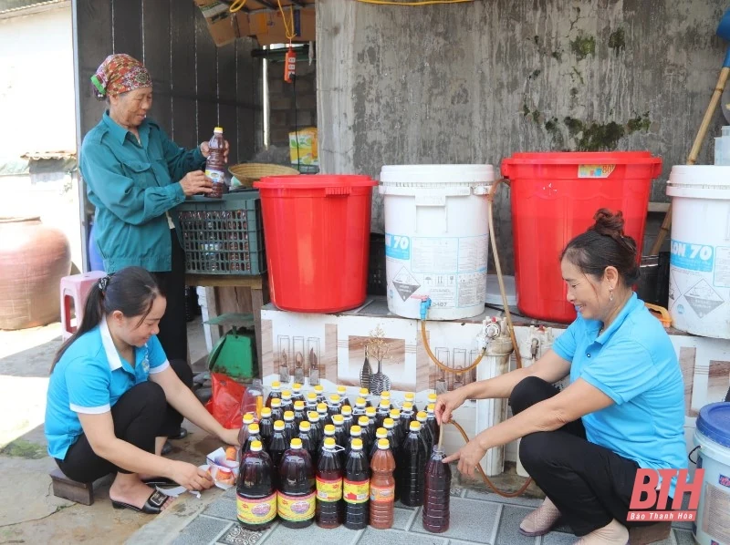 Thành lập 162 mô hình kinh tế tập thể do phụ nữ làm chủ trong g iai đoạn 2017- 2022