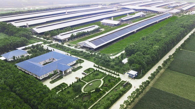 Vinamilk là thương hiệu thực phẩm có giá trị nhất Việt Nam và là thương hiệu sữa lớn thứ 6 thế giới
