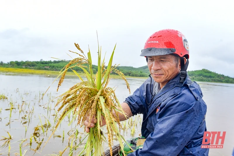 Nước sông dâng cao, một xóm ở xã Phú Nhuận bị cô lập nhiều ngày