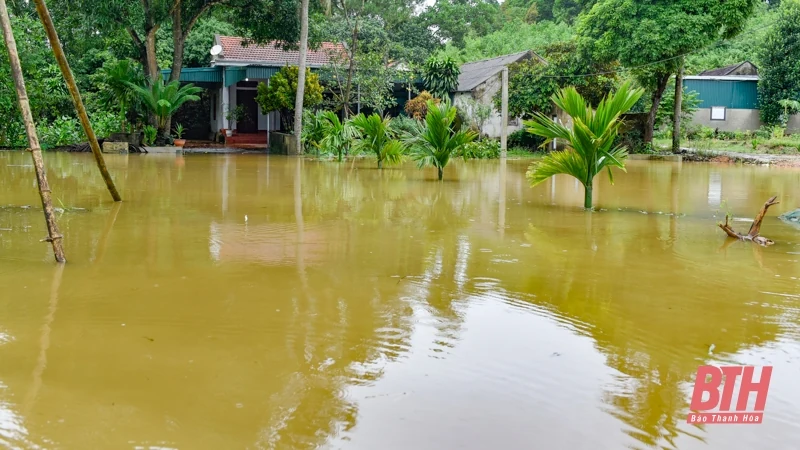 Nước sông dâng cao, một xóm ở xã Phú Nhuận bị cô lập nhiều ngày