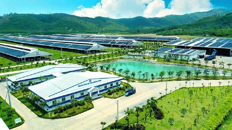 Vinamilk tiếp tục dẫn đầu top 10 thương hiệu mạnh Việt Nam, CEO Mai Kiều Liên được vinh danh doanh nhân xuất sắc 2022