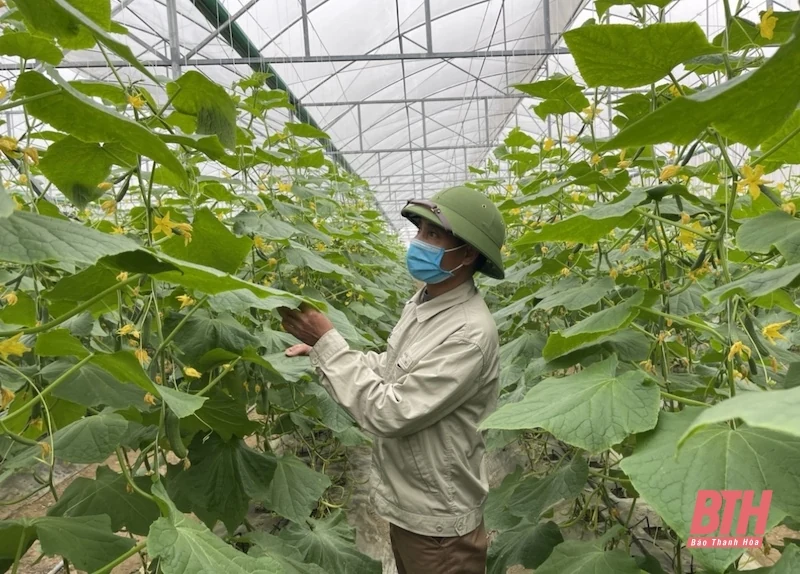 Thiệu Hóa: Phát triển 10 sản phẩm OCOP