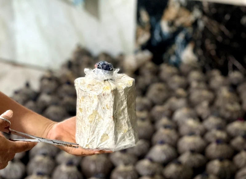Quyết tâm phát triển sản phẩm OCOP từ cây nấm